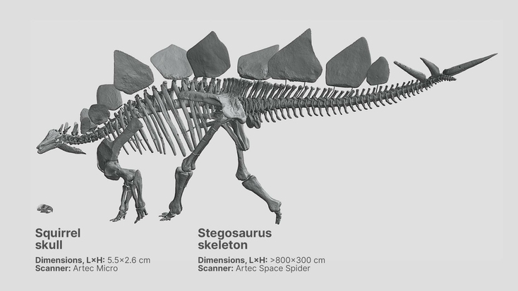 Photogrammetry vs. 3D scanning